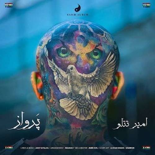 دانلود آهنگ من که مال پرواز نبودم تو چرا بالامو وا کردی 